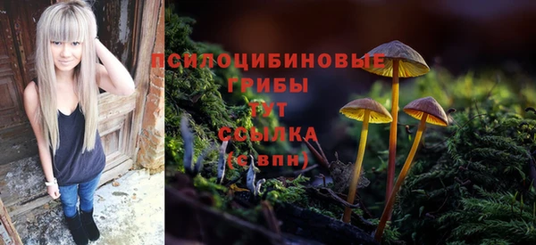 a pvp Балахна
